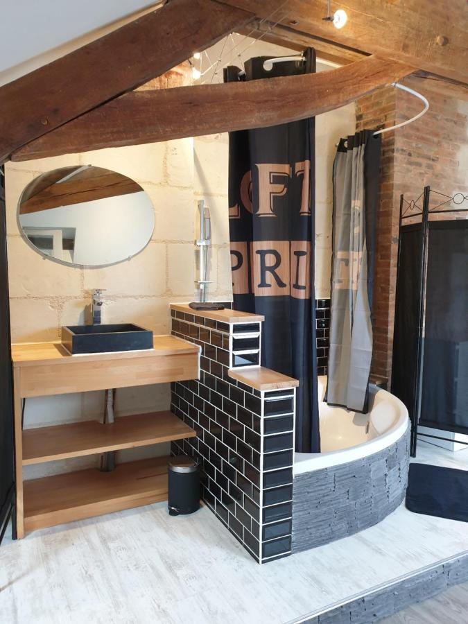 Bourgueil - Grand Appartement Proche Cnpe Chinon エクステリア 写真