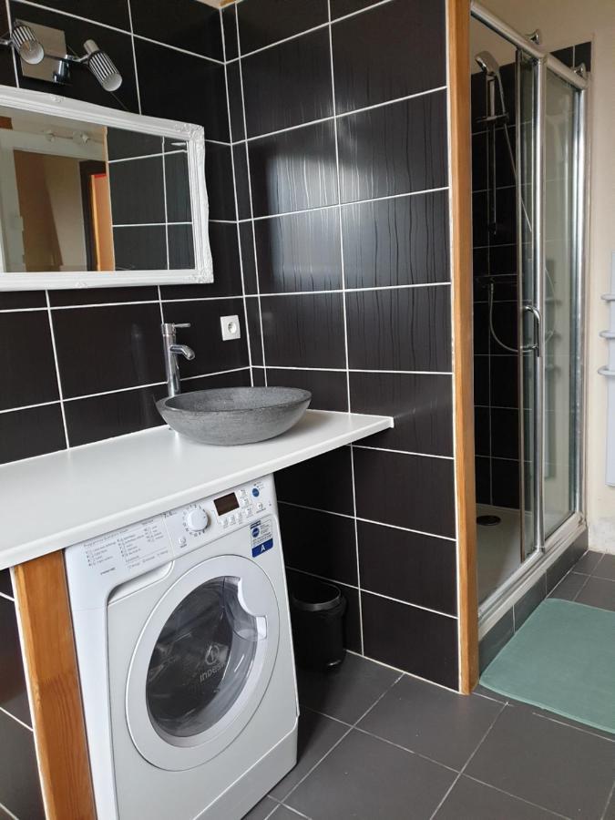 Bourgueil - Grand Appartement Proche Cnpe Chinon エクステリア 写真