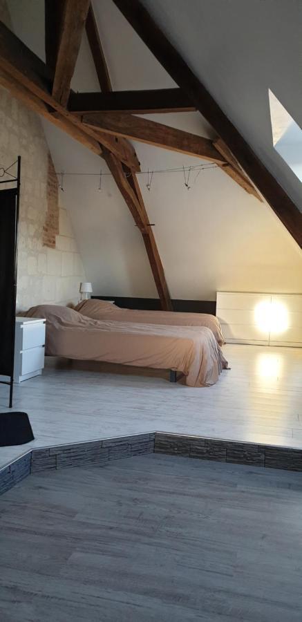 Bourgueil - Grand Appartement Proche Cnpe Chinon エクステリア 写真