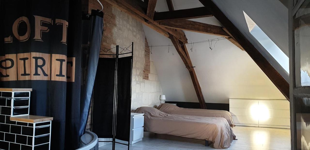 Bourgueil - Grand Appartement Proche Cnpe Chinon エクステリア 写真